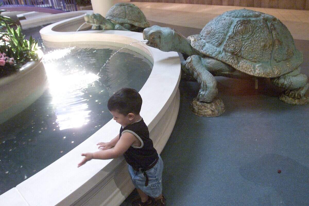 Anthony Lopez, 2 of FW, throws coins into the new fountain at Ridgmar called 'Turtle Creek' outside the entrance of JCPenney in July 2000.
